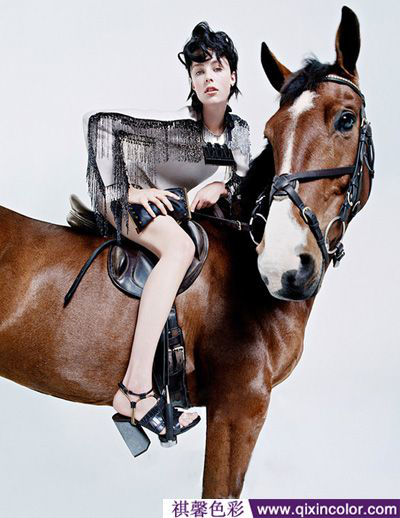 图片4.png 图片4.png