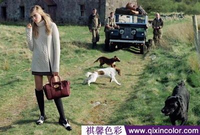 图片5.png 图片5.png