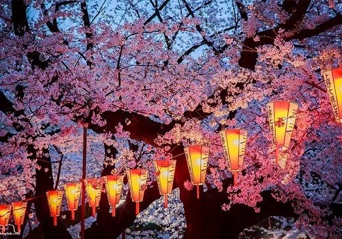 色彩搭配师培训